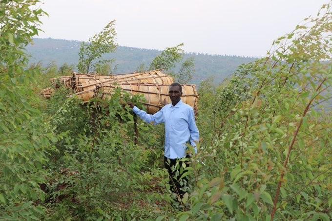 Rehabilitated forests handed over to local cooperatives