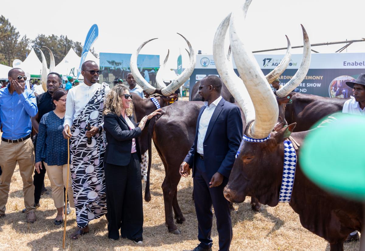 Rwanda's 17th National Agricultural Show: Enabel's role in shaping Rwanda's agricultural future