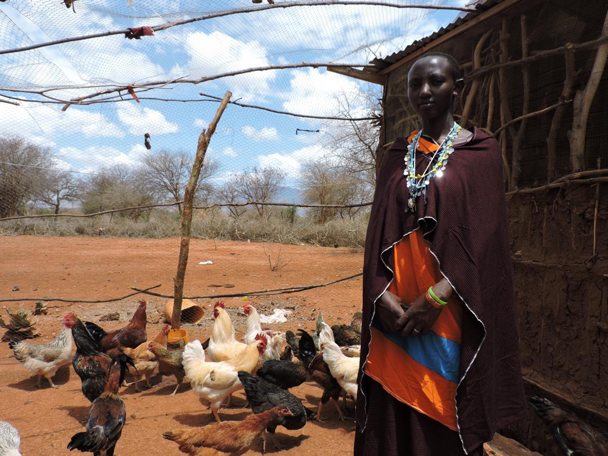 Focus on livestock: Chickens help Maasai to combat food insecurity.