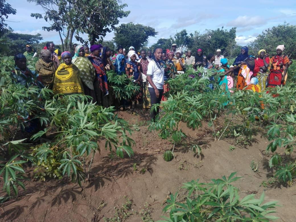 Field Farmer Day