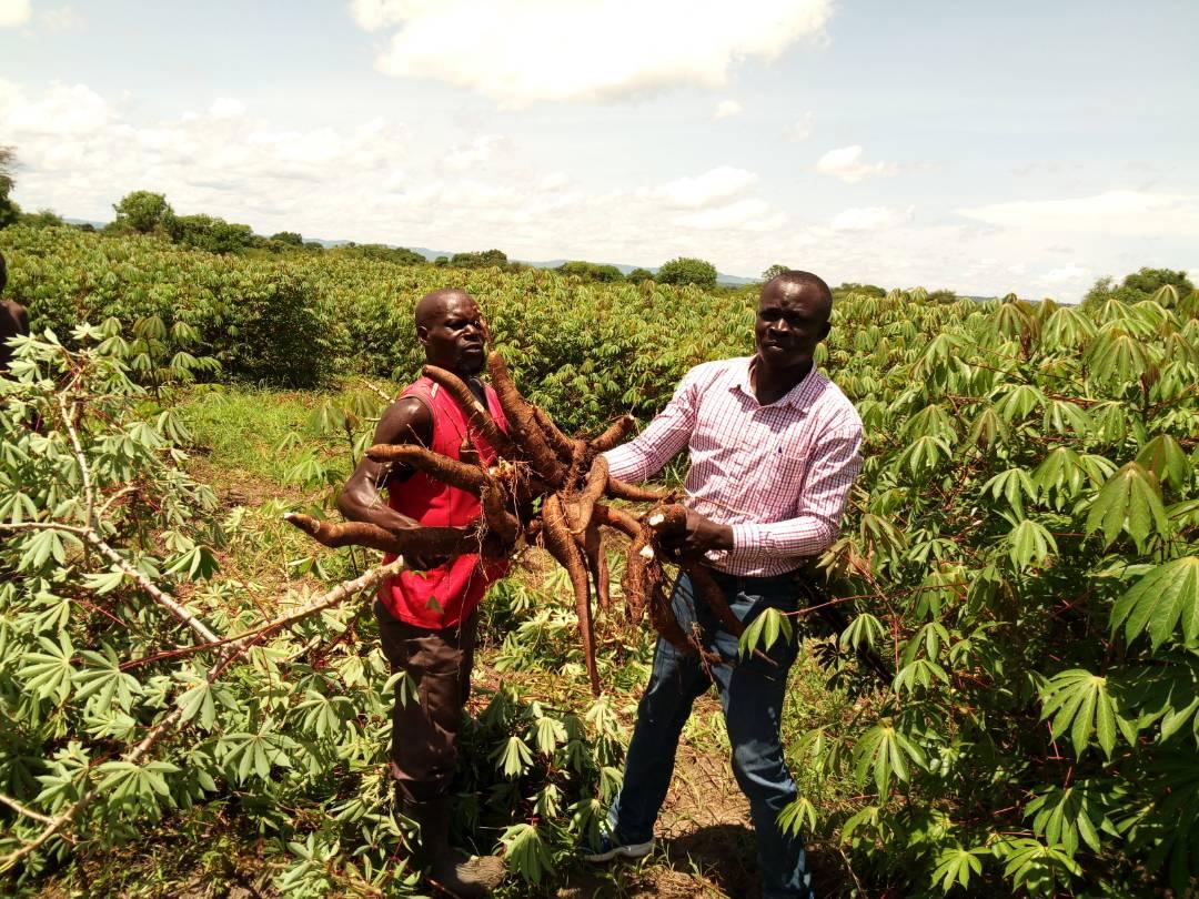 Agricultural training translates into multiple profits for rural farmer