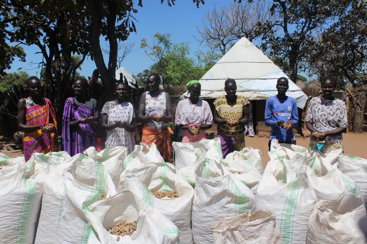 A fivefold harvest excites refugee farmers