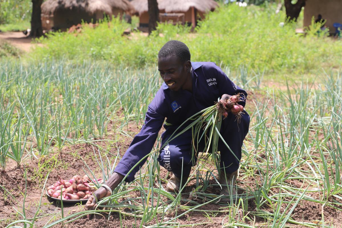 Reaping big from vegetable growing