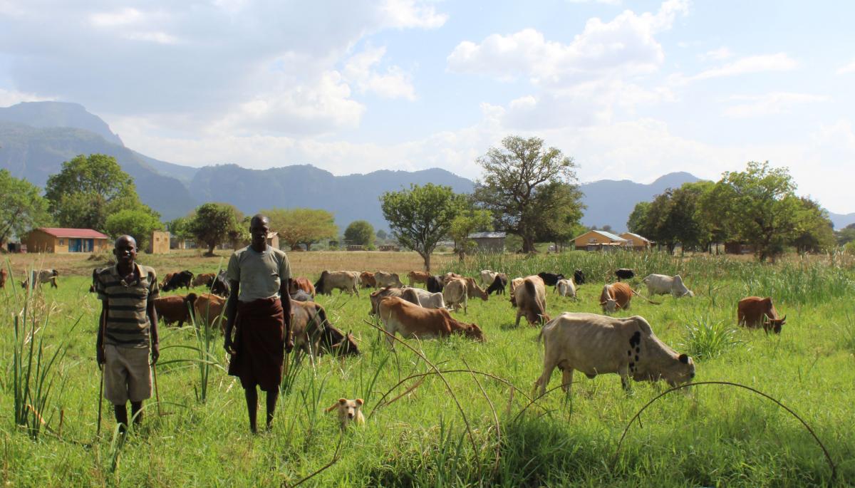 Skilling the Karamojong