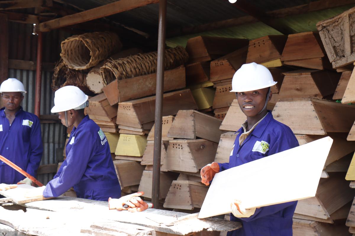 Uganda youth in Rwenzori get skills in beekeeping